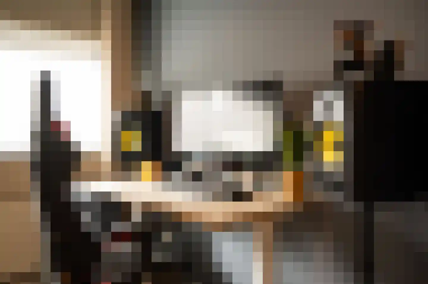 Lange Dreef 190 Rijswijk thumbnail 50