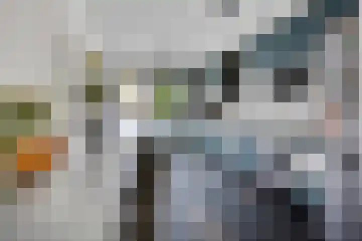 Lange Dreef 192 Rijswijk thumbnail 11