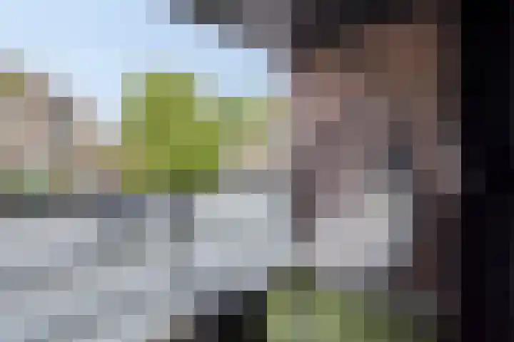 Lange Dreef 192 Rijswijk thumbnail 13