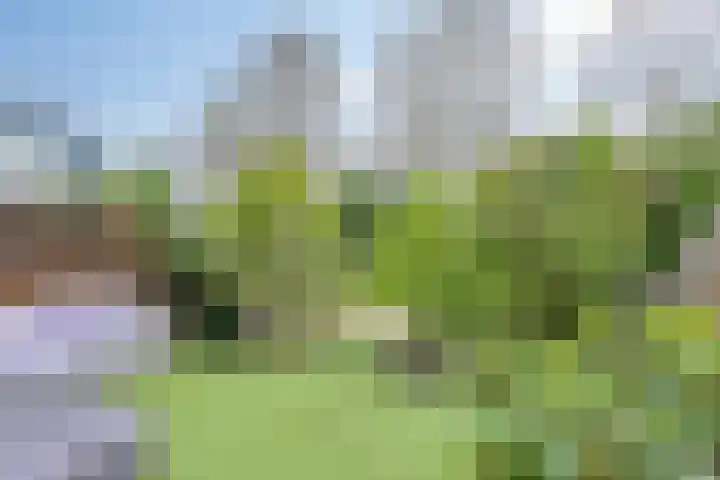 Lange Dreef 192 Rijswijk thumbnail 15