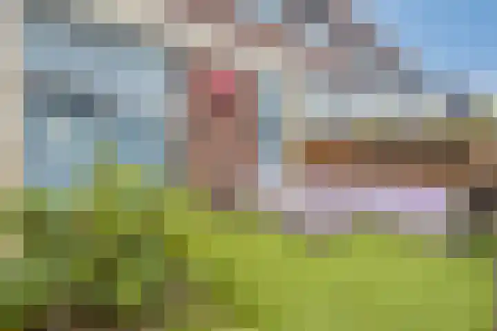 Lange Dreef 192 Rijswijk thumbnail 16