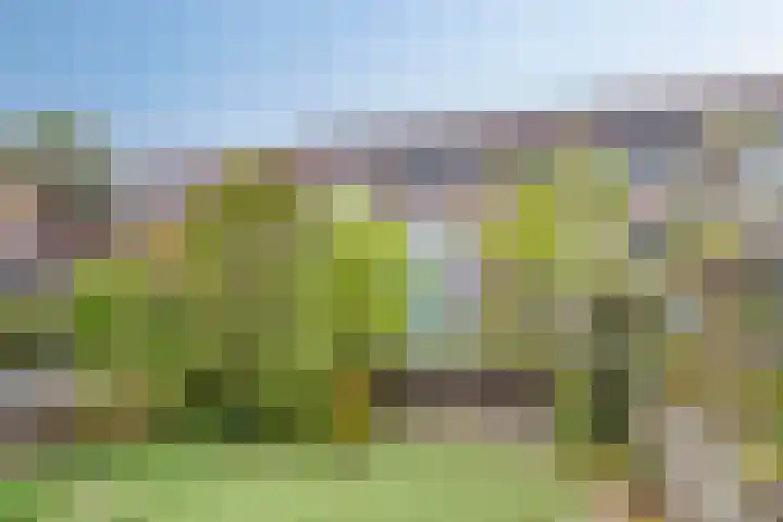 Lange Dreef 192 Rijswijk thumbnail 18