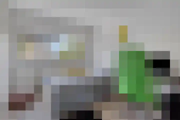 Lange Dreef 192 Rijswijk thumbnail 25