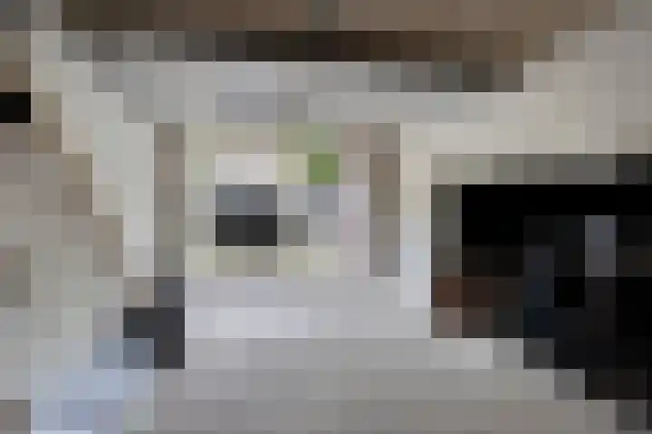 Lange Dreef 192 Rijswijk thumbnail 30