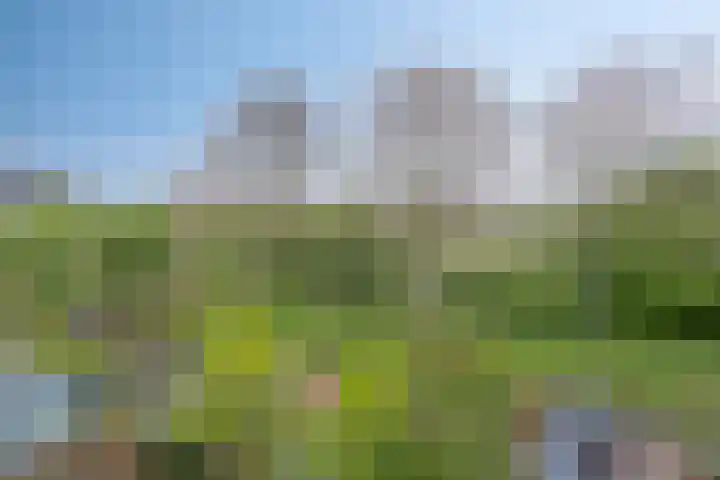 Lange Dreef 192 Rijswijk thumbnail 33