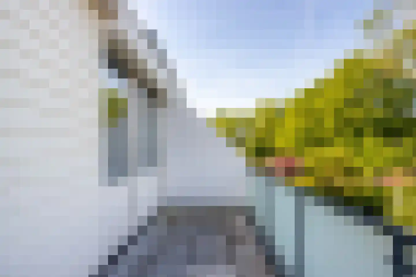Lange Dreef 20 Beuningen Gld thumbnail 18