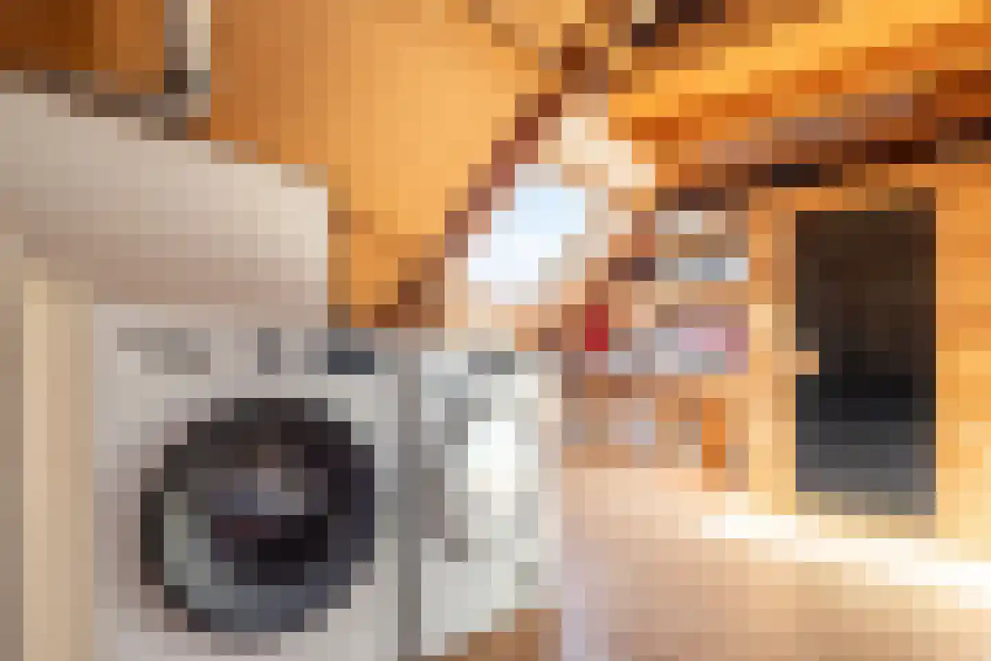 Lange Dreef 20 Beuningen Gld thumbnail 21