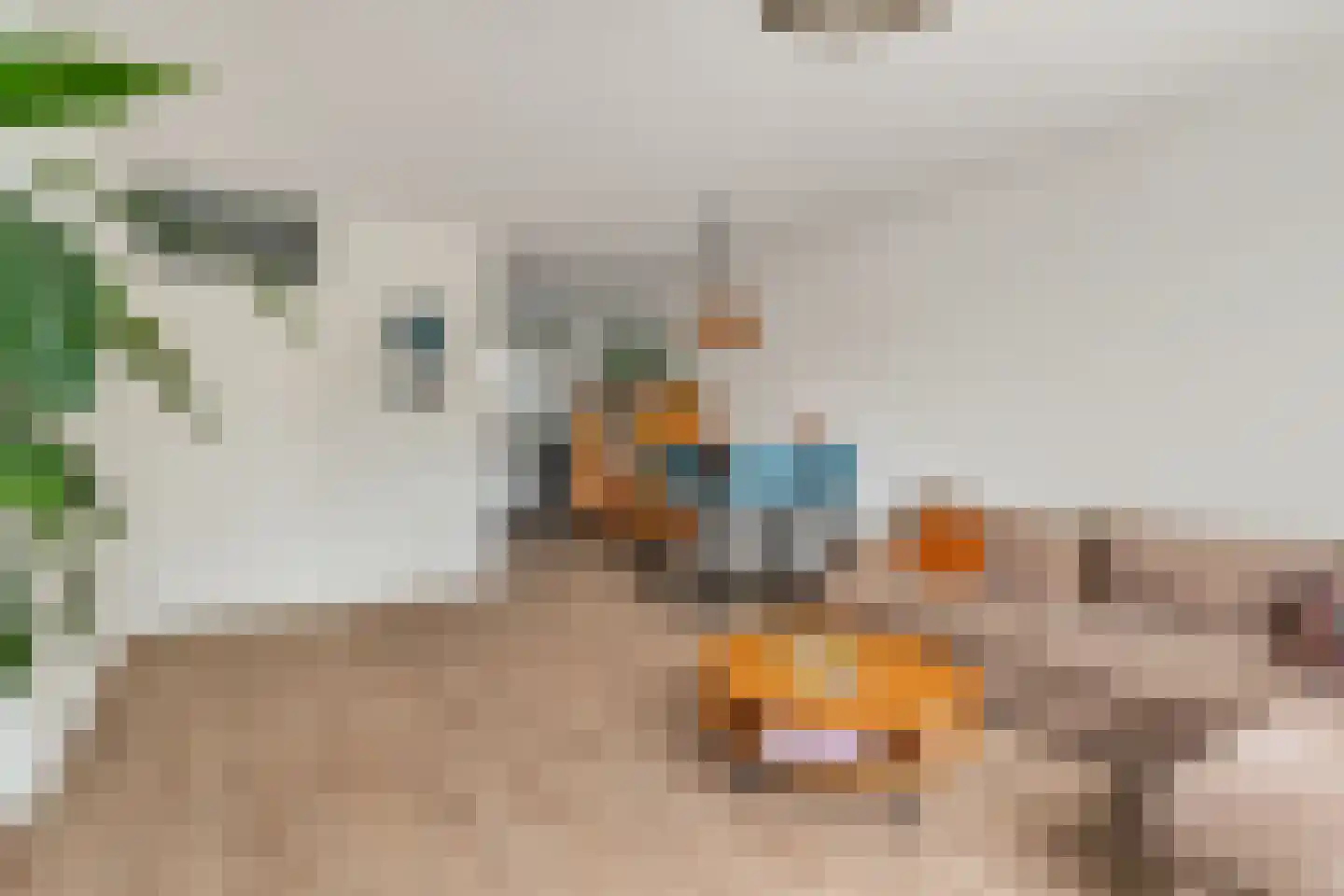 Lange Dreef 35 Rijswijk thumbnail 13
