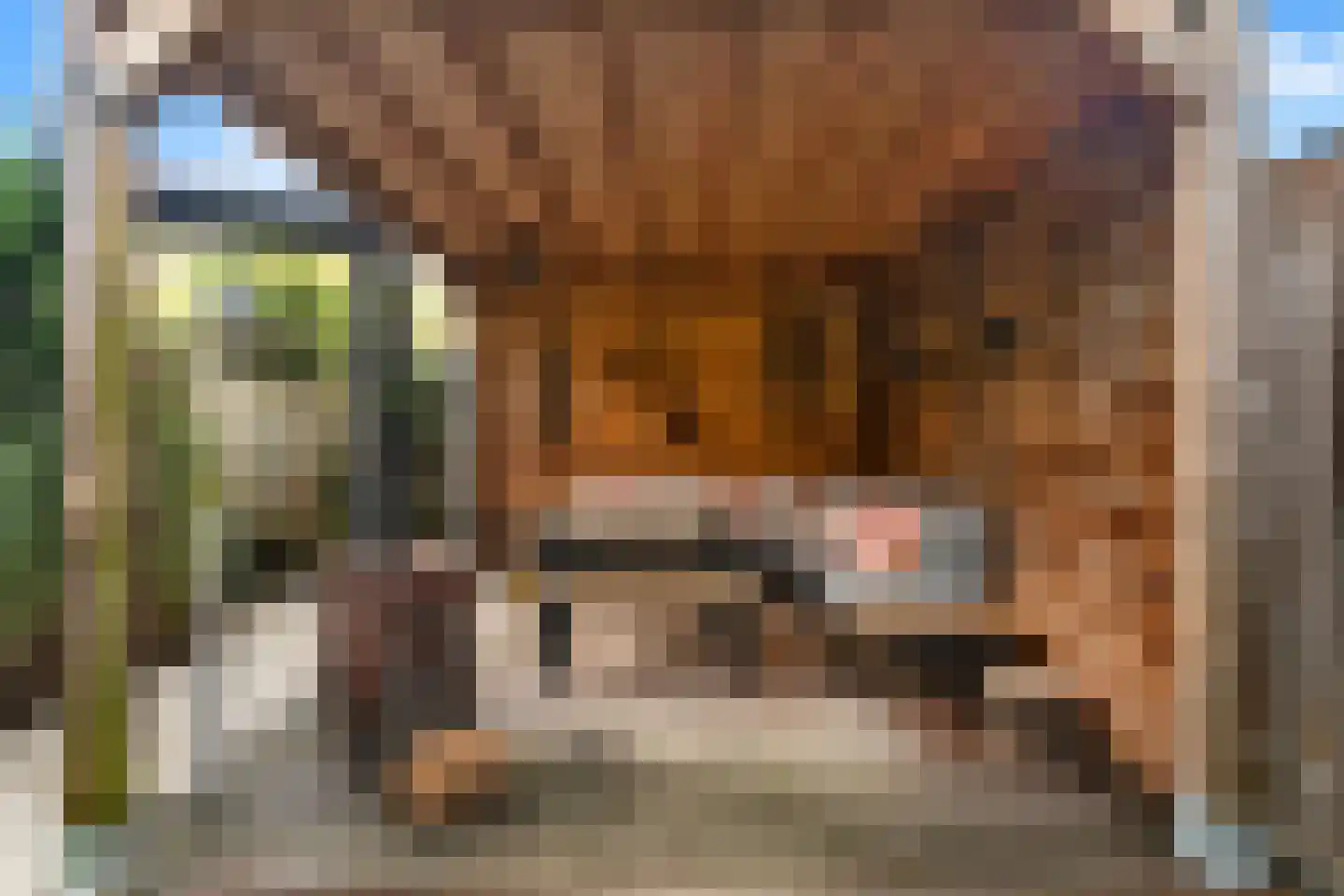 Lange Dreef 35 Rijswijk thumbnail 21