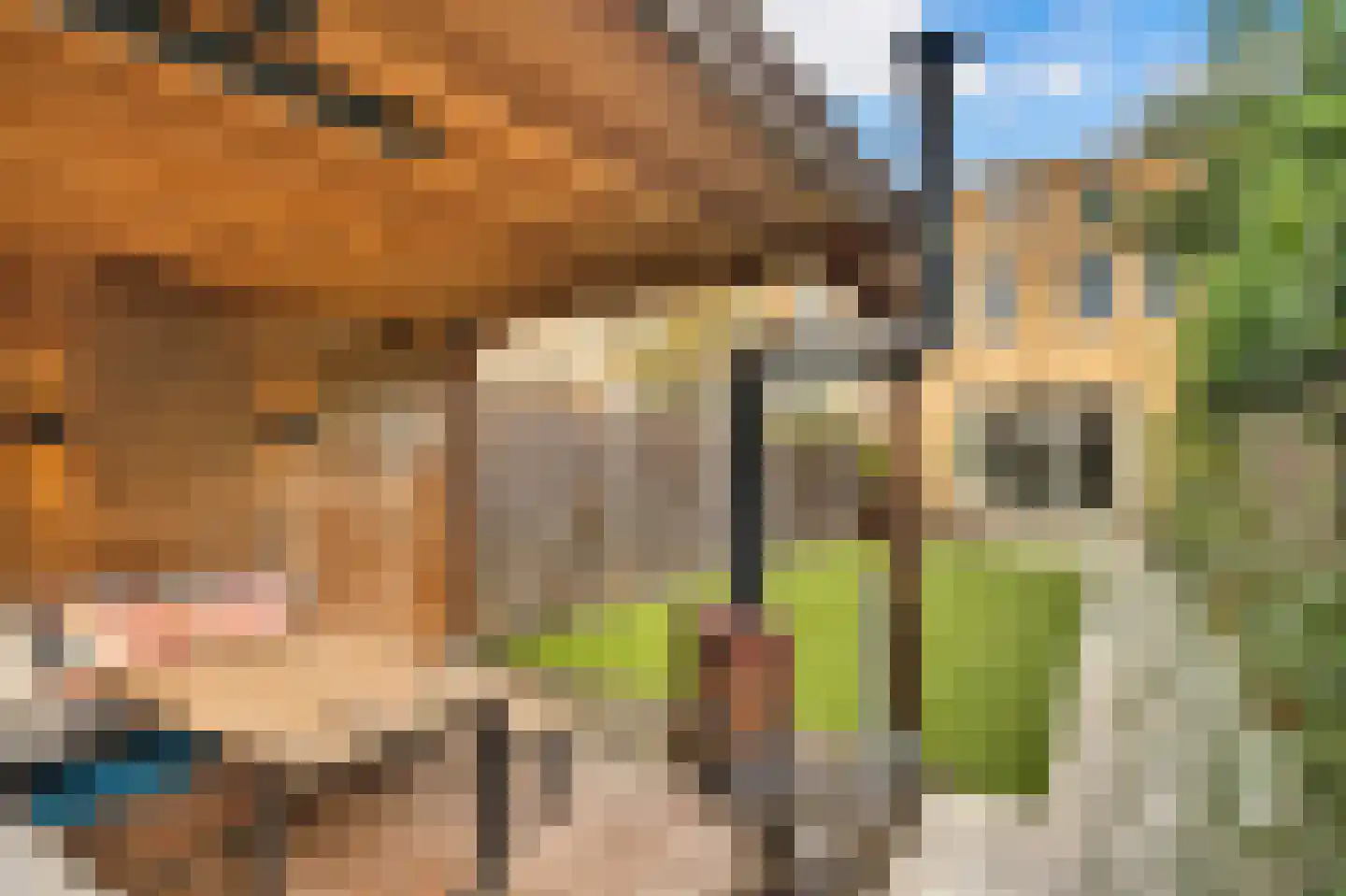 Lange Dreef 35 Rijswijk thumbnail 22