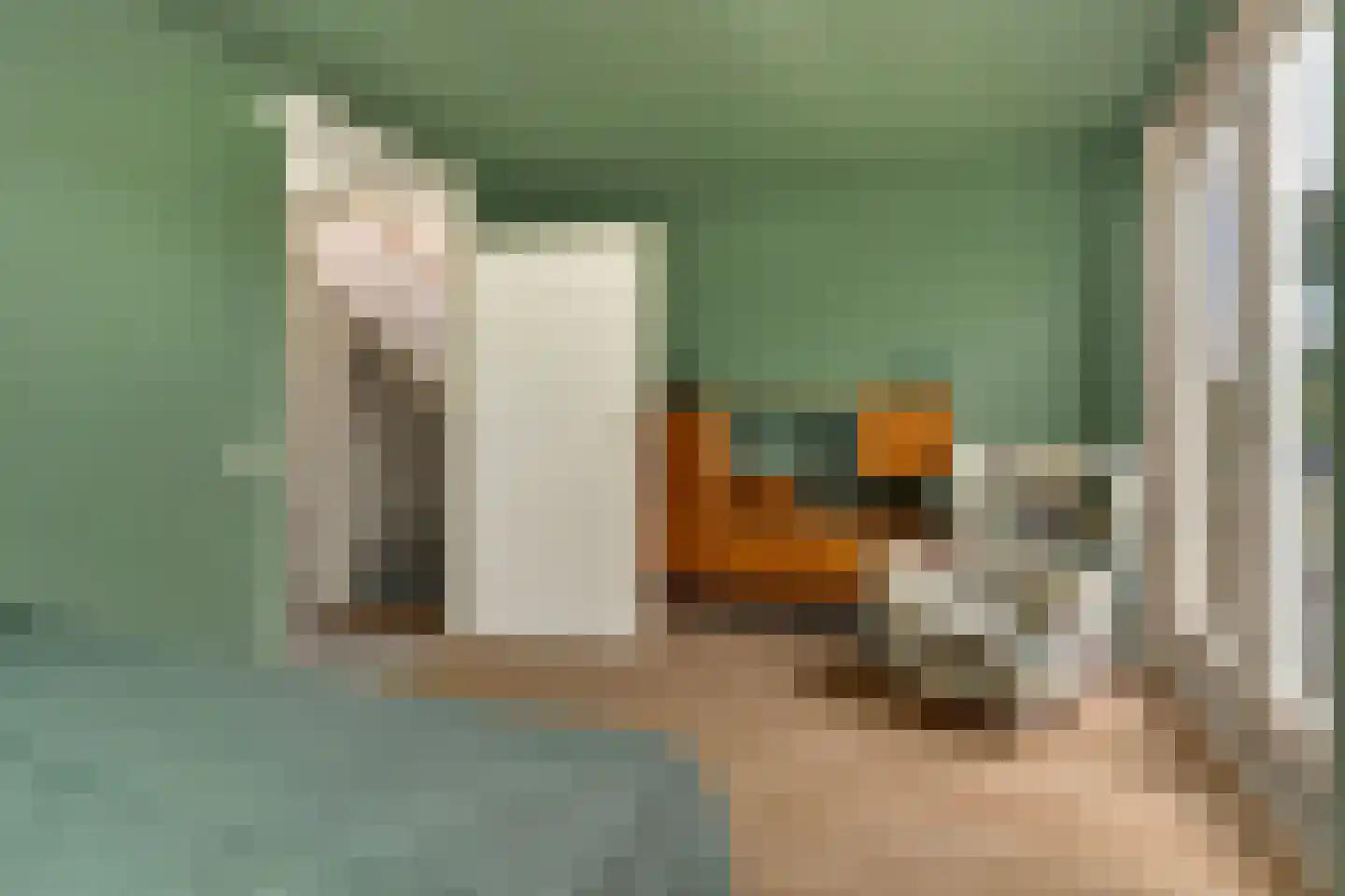 Lange Dreef 35 Rijswijk thumbnail 25