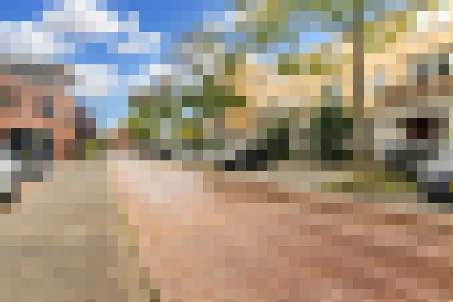 Lange Dreef 35 Rijswijk thumbnail 39