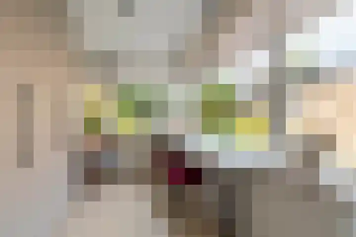 Lange Dreef 42 Veenendaal thumbnail 14