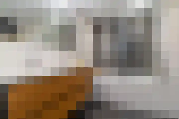 Lange Dreef 42 Veenendaal thumbnail 21