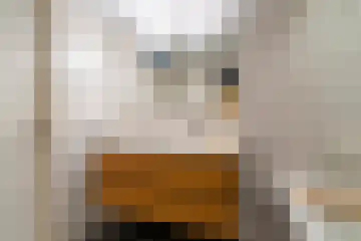 Lange Dreef 42 Veenendaal thumbnail 22