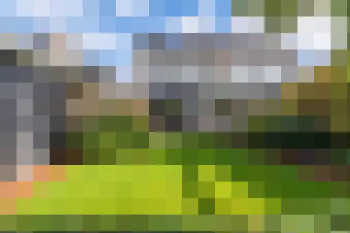 Lange Dreef 42 Veenendaal thumbnail 27