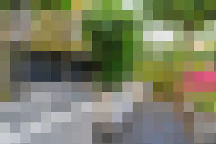 Lange Dreef 42 Veenendaal thumbnail 28