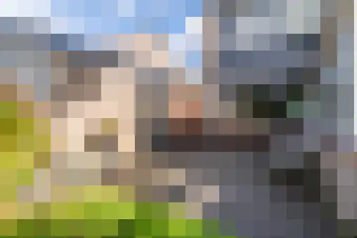 Lange Dreef 42 Veenendaal thumbnail 29