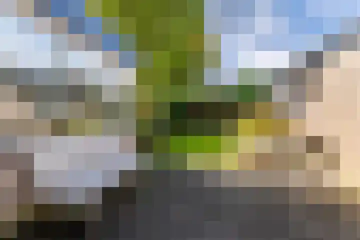 Lange Dreef 42 Veenendaal thumbnail 30