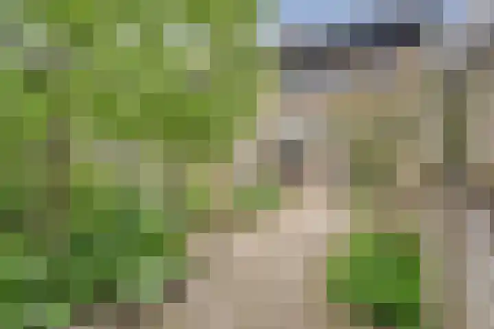 Lange Dreef 49 Beuningen Gld thumbnail 30