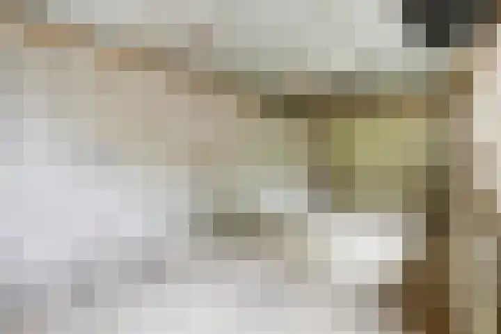 Lange Dreef 49 Beuningen Gld thumbnail 34