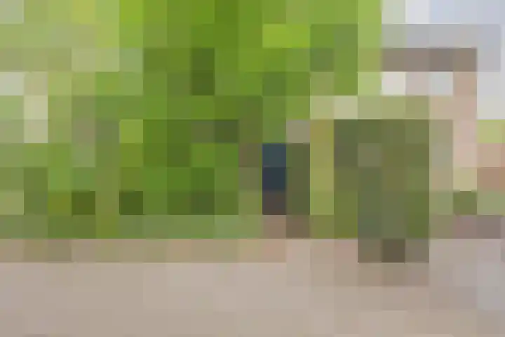 Lange Dreef 49 Beuningen Gld thumbnail 36