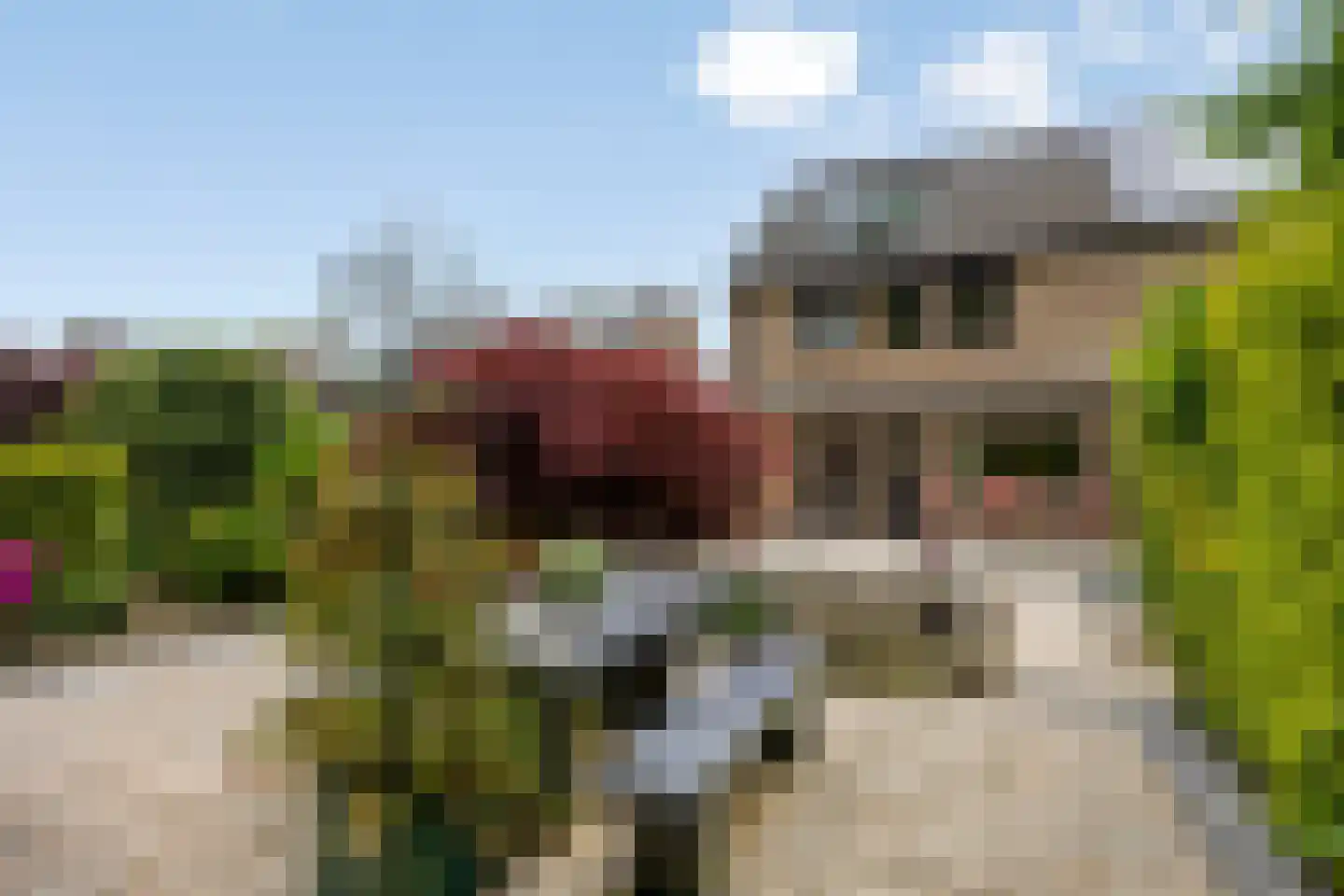 Lange Dreef 50 Beuningen Gld thumbnail 30