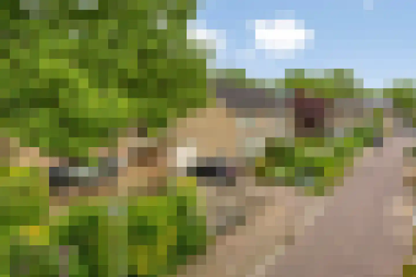 Lange Dreef 50 Beuningen Gld thumbnail 41