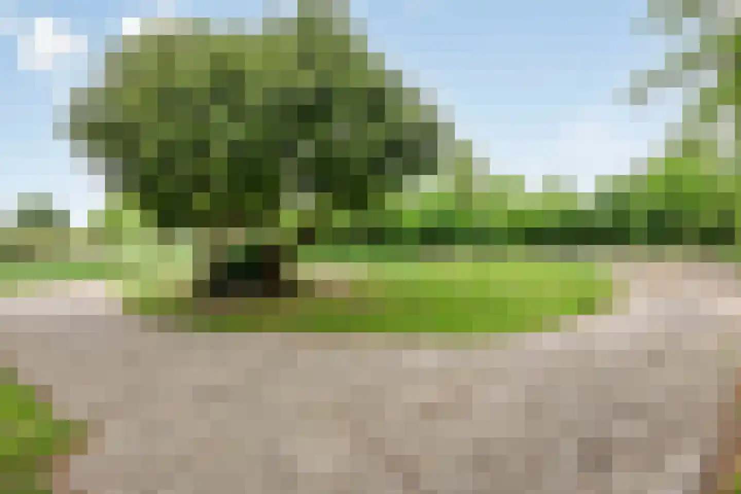 Lange Dreef 50 Beuningen Gld thumbnail 44