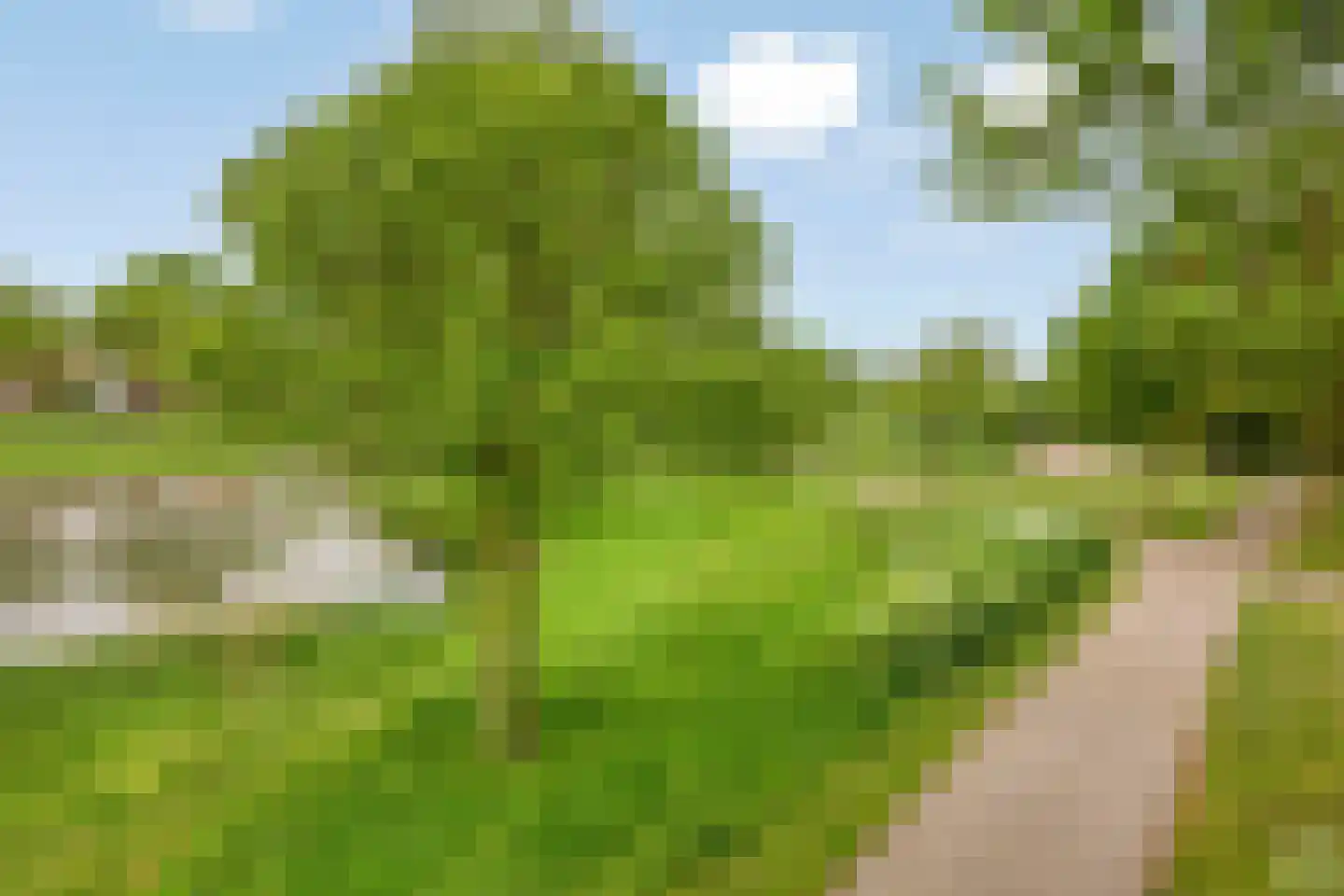 Lange Dreef 50 Beuningen Gld thumbnail 45
