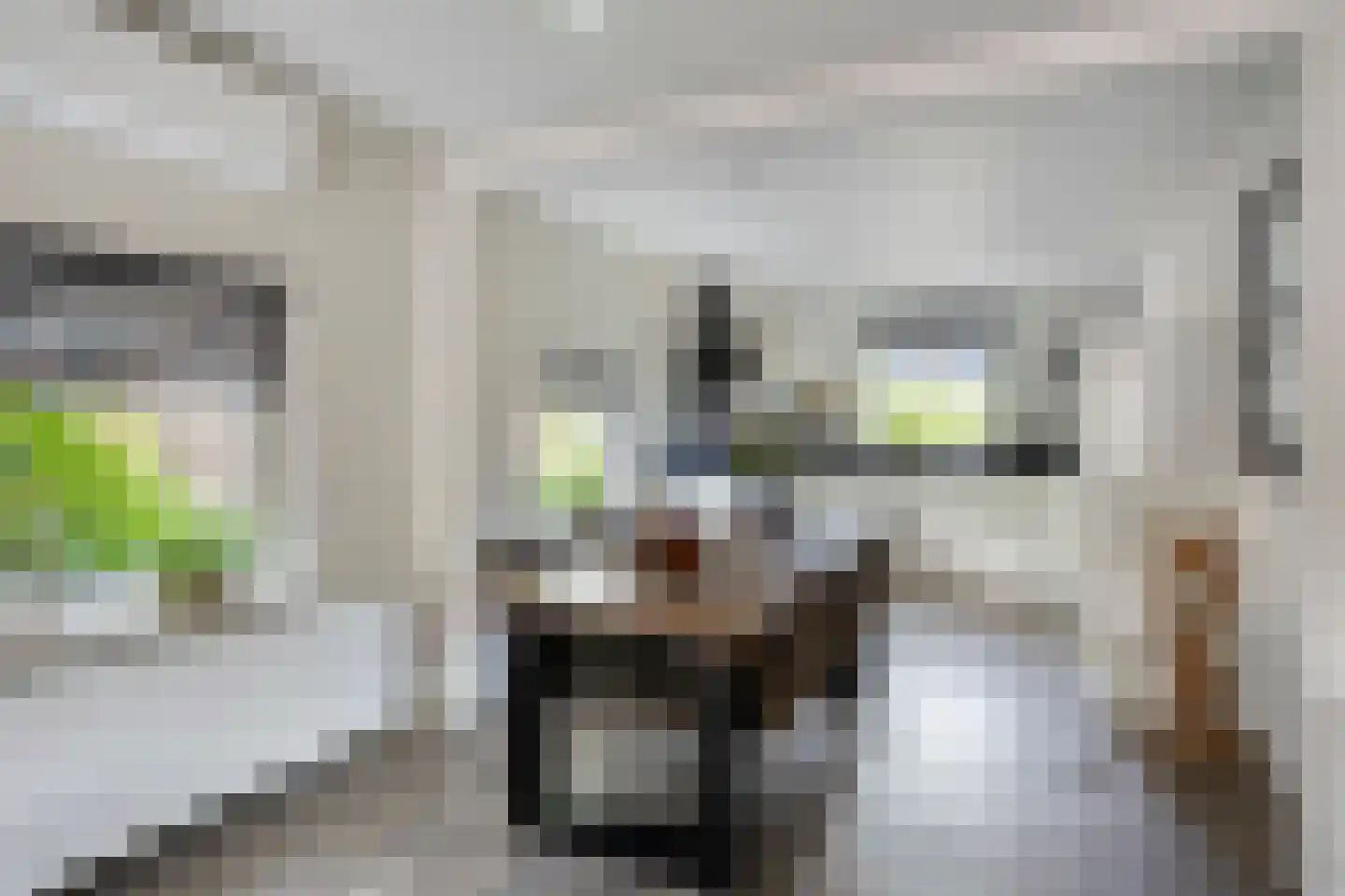 Lange Dreef 51 Beuningen Gld thumbnail 9