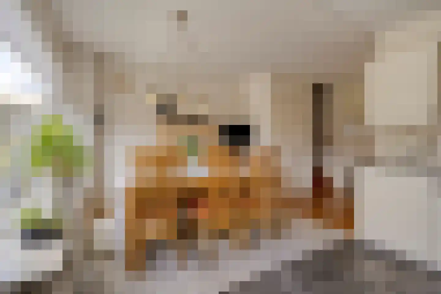 Lange Dreef 56 Veenendaal thumbnail 10