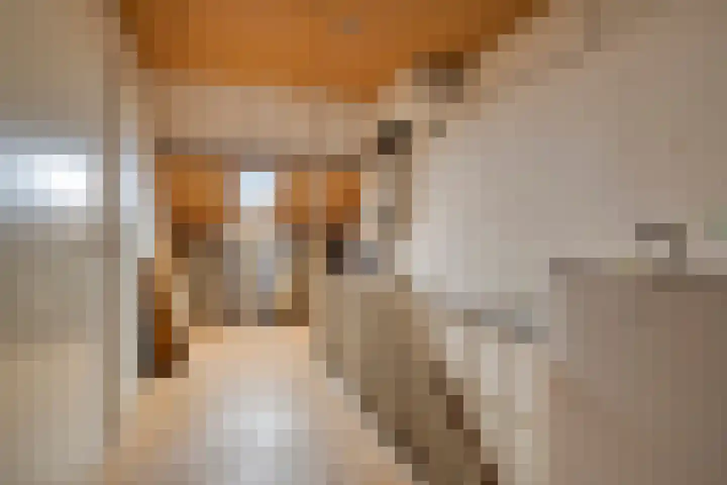 Lange Dreef 56 Veenendaal thumbnail 21