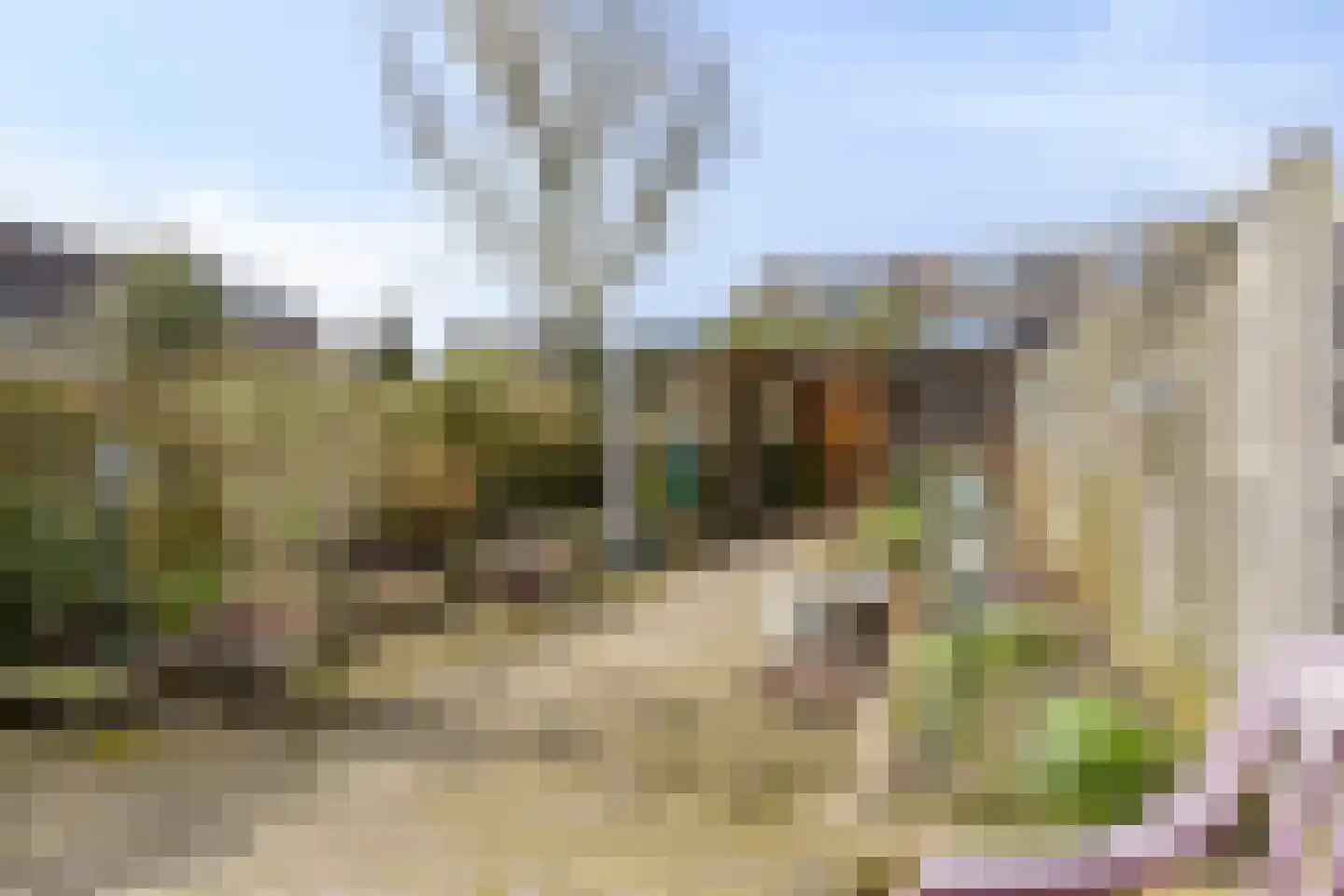 Lange Dreef 56 Veenendaal thumbnail 25
