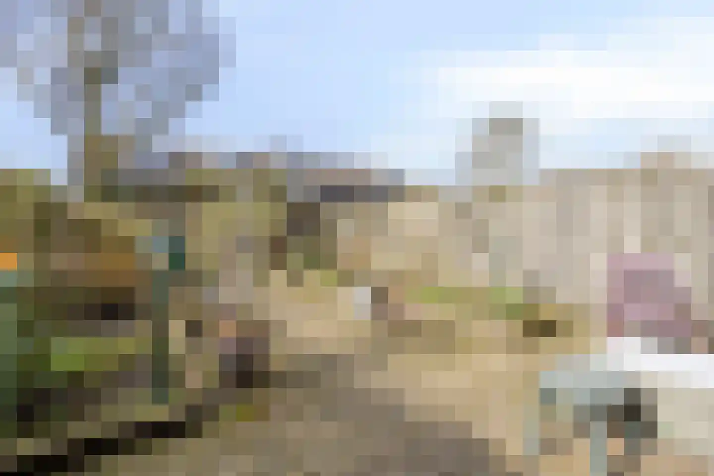Lange Dreef 56 Veenendaal thumbnail 26
