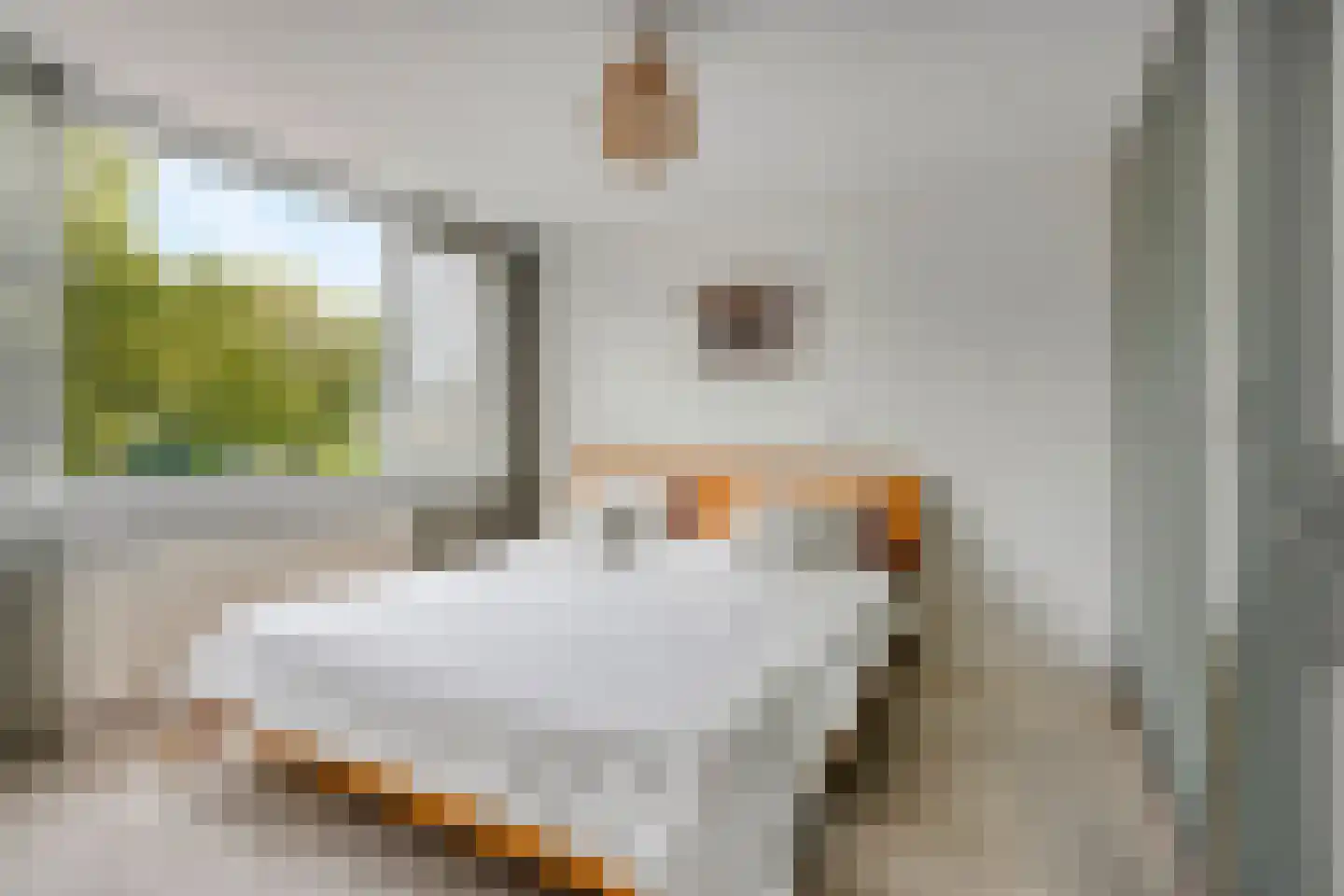 Lange Dreef 67 Veenendaal thumbnail 13