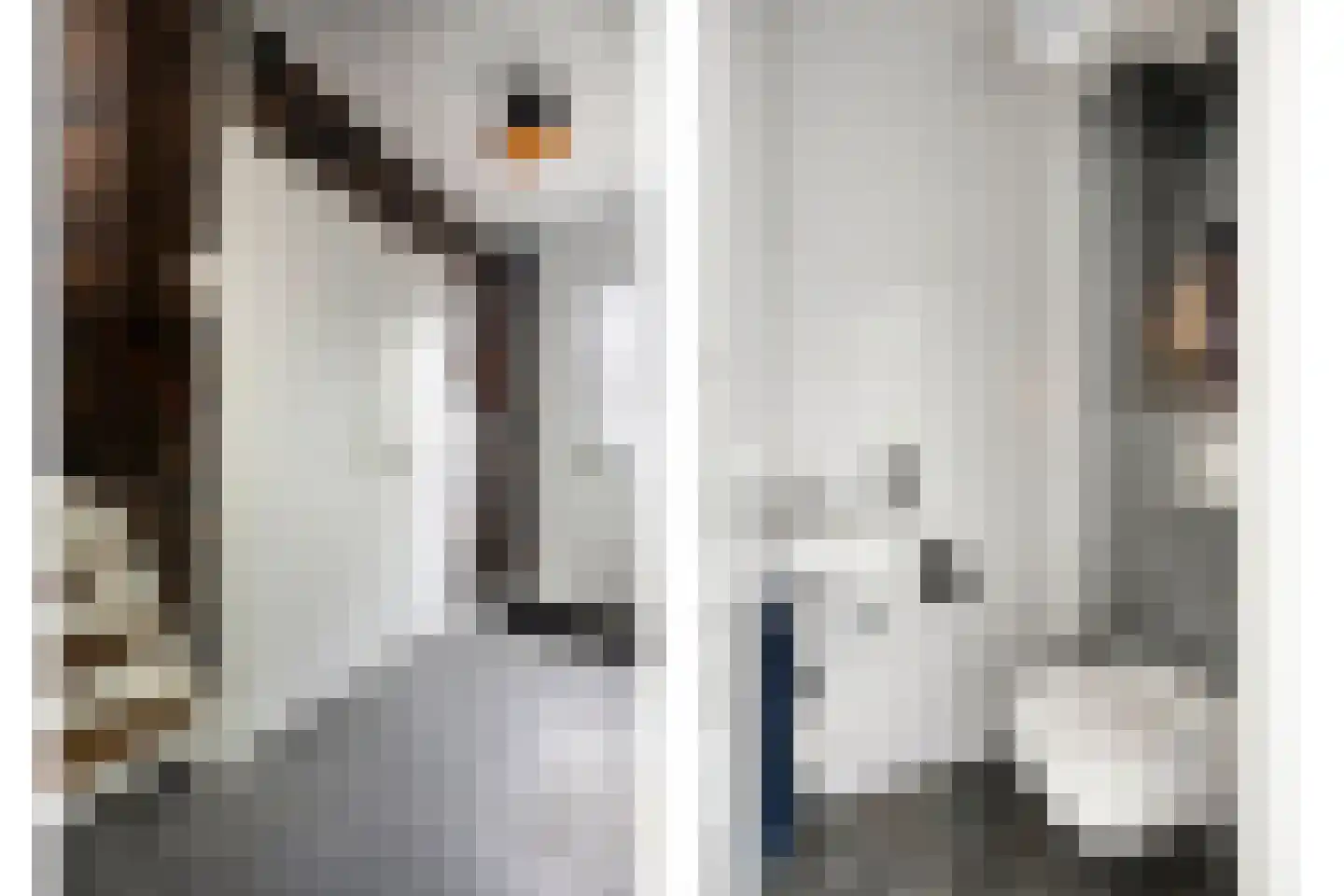 Lange Dreef 67 Veenendaal thumbnail 6