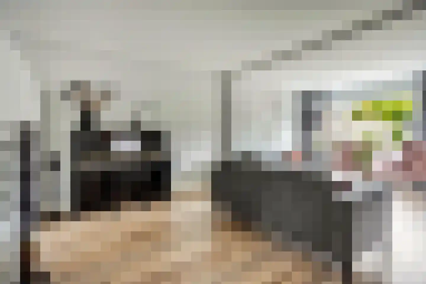 Lange Dreef 67 Veenendaal thumbnail 8