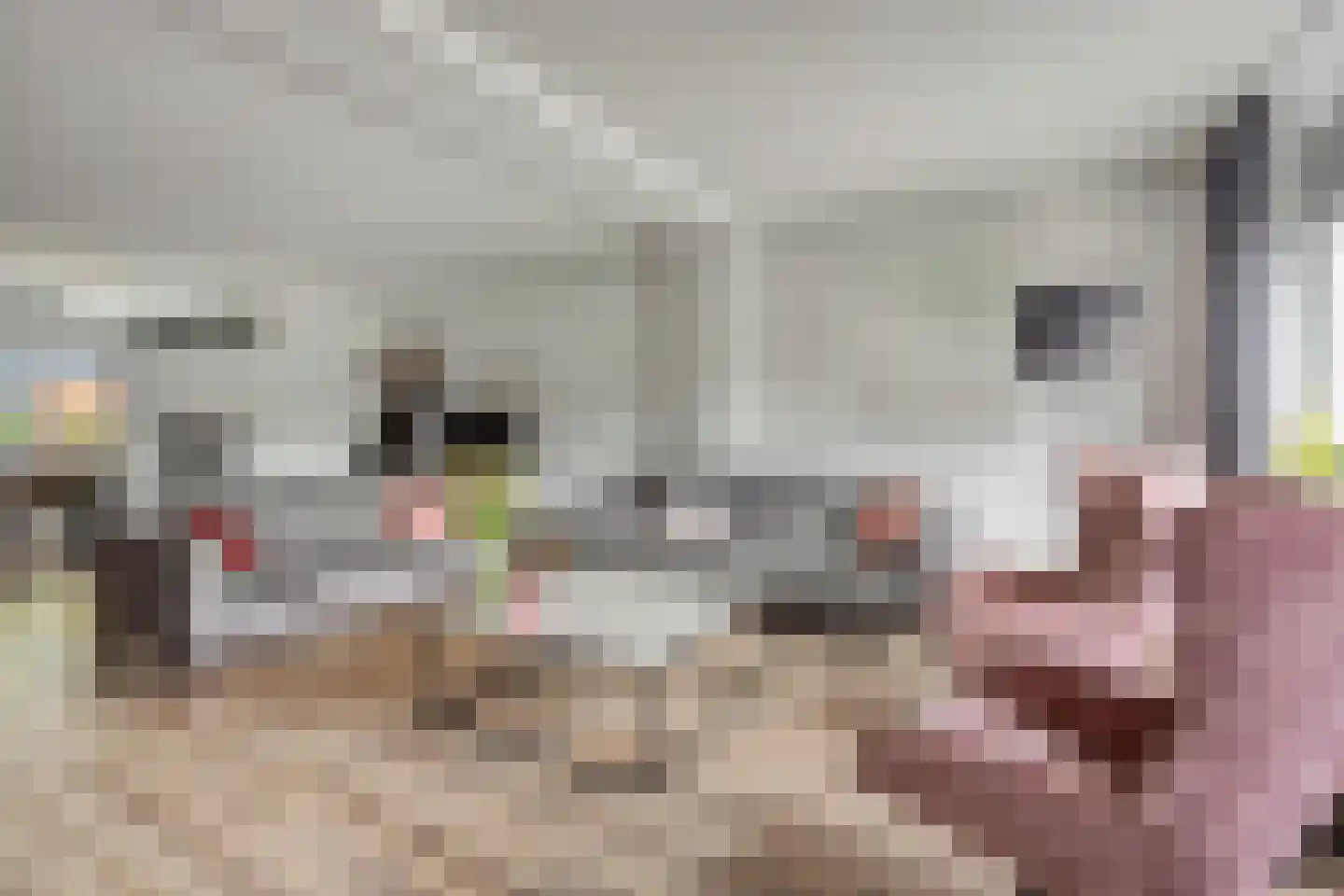 Lange Dreef 67 Veenendaal thumbnail 9