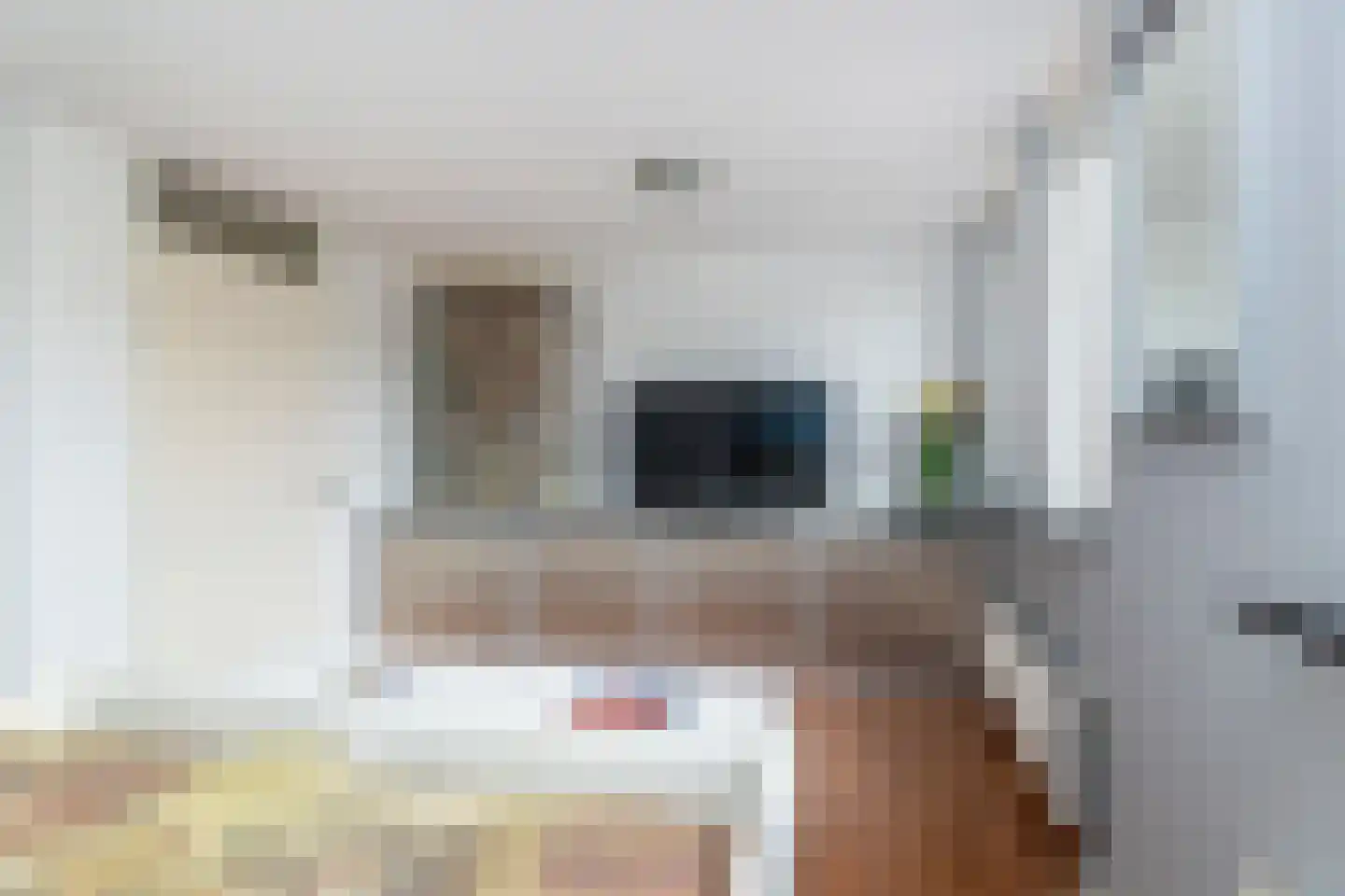 Lange Dreef 81 Rijswijk thumbnail 29