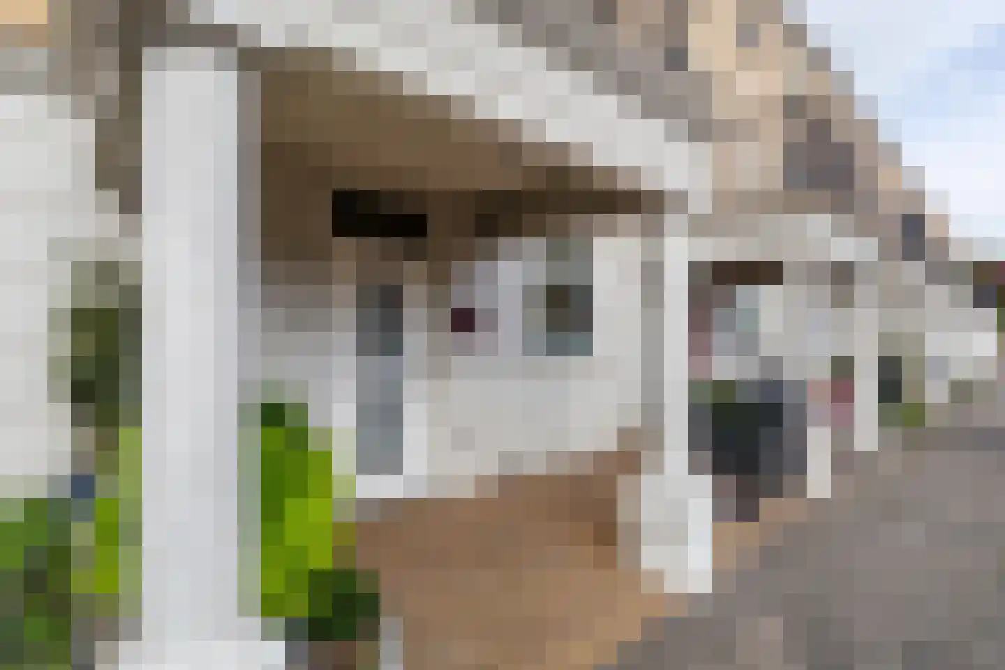 Lange Dreef 81 Rijswijk thumbnail 48