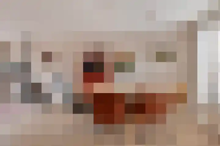 Lange Dresch 49 Akersloot thumbnail 13