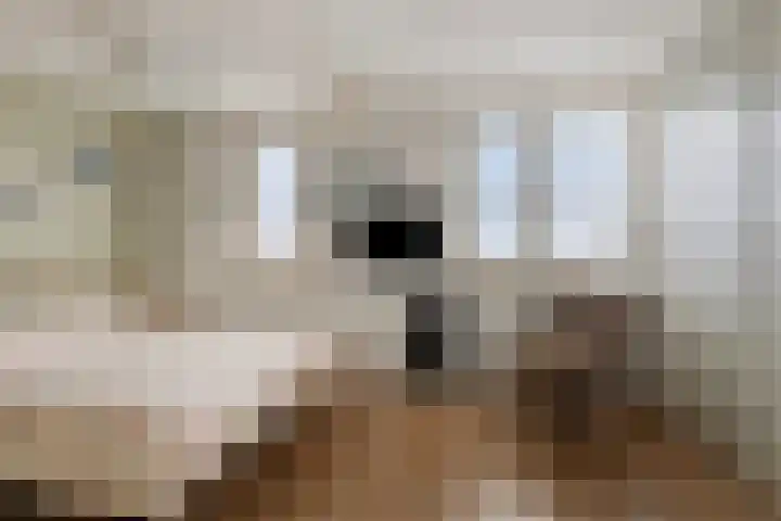 Lange Dresch 49 Akersloot thumbnail 14