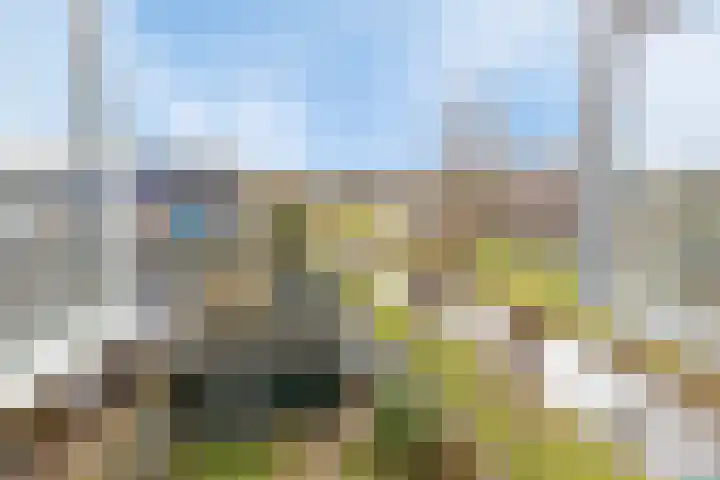 Lange Dresch 49 Akersloot thumbnail 24