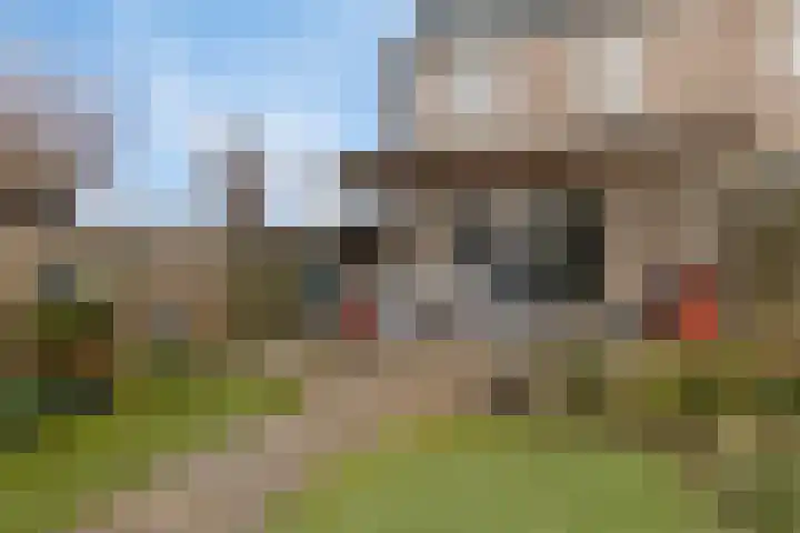 Lange Dresch 49 Akersloot thumbnail 25
