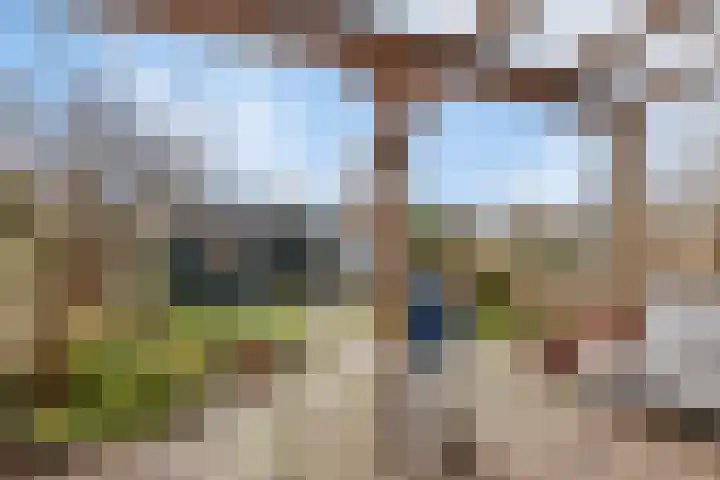 Lange Dresch 49 Akersloot thumbnail 26