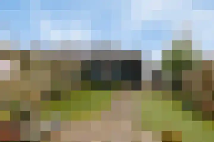 Lange Dresch 49 Akersloot thumbnail 27