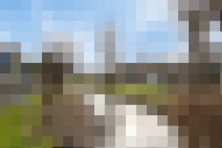 Lange Dresch 49 Akersloot thumbnail 29