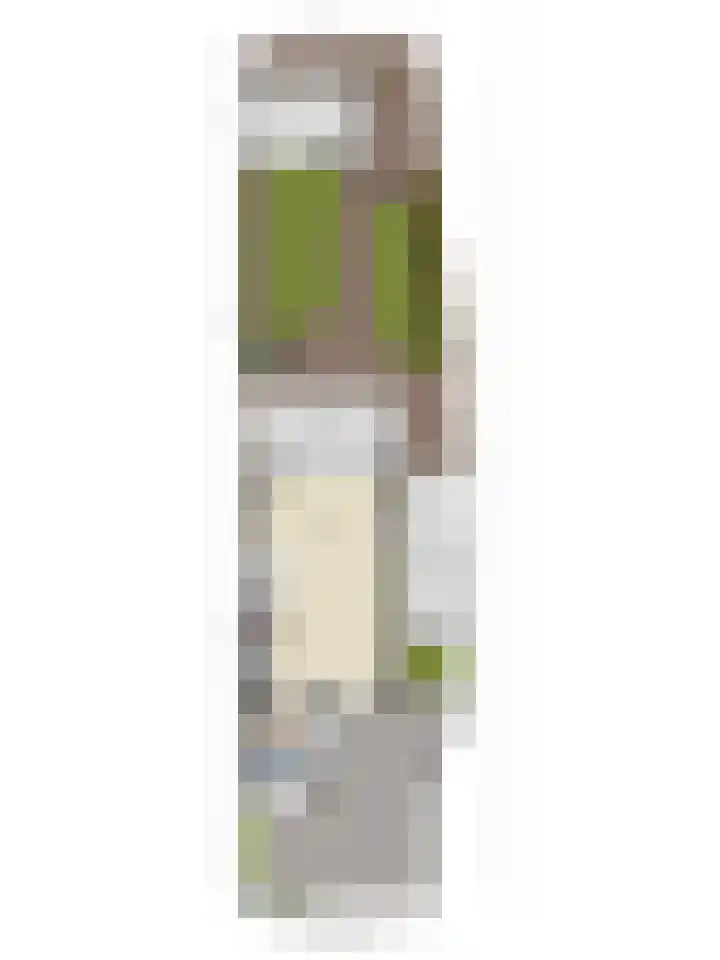 Lange Dresch 49 Akersloot thumbnail 33