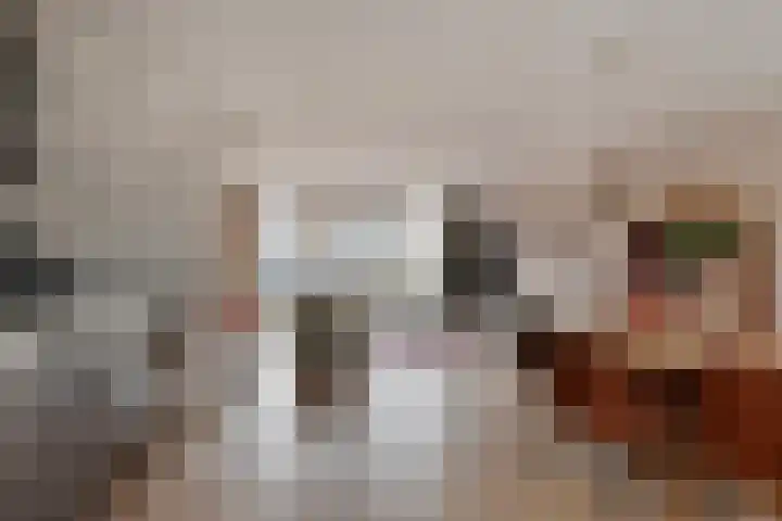 Lange Dresch 49 Akersloot thumbnail 4